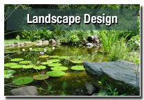 landscape designer