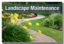 landscape maintenance