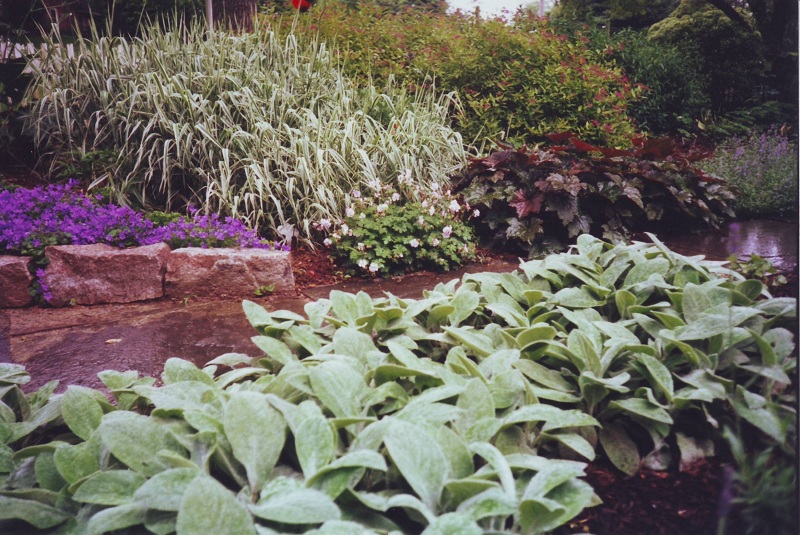 01Low-wall-and-perennials-in-English-cutting-garden-in-Gladwyne