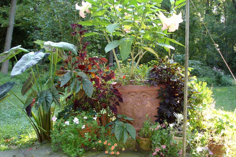 Planter-grouping