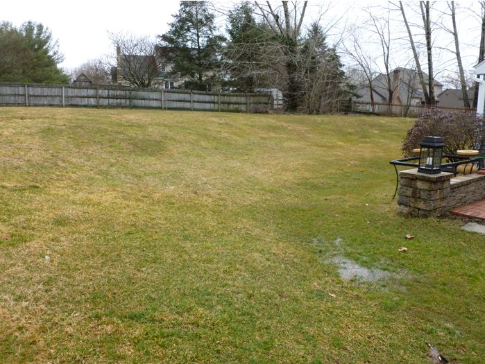 landscape-design-philadelphia-stone-wall-with-perennial-display-in-phoenixville-before
