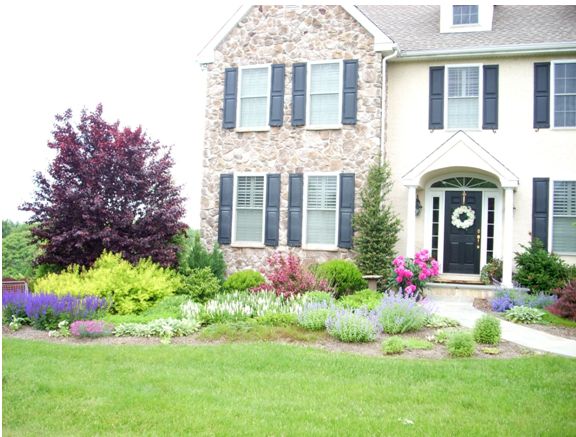 landscaping-ideas-main-line-contemporary-garden
