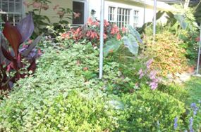 landscaping-ideas-philadelphia-informal-garden