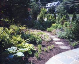 landscaping-ideas-problem-areas-addressed