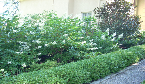 main-line-landscape-design-paoli-pa-19301