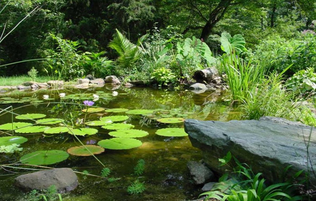 main-line-landscape-design-water-features-paoli-pa-19301
