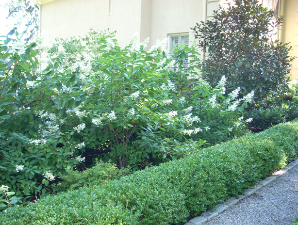 main-line-landscaping-ideas-haverford-pa-19041