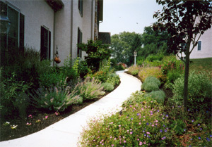 more_pic_1