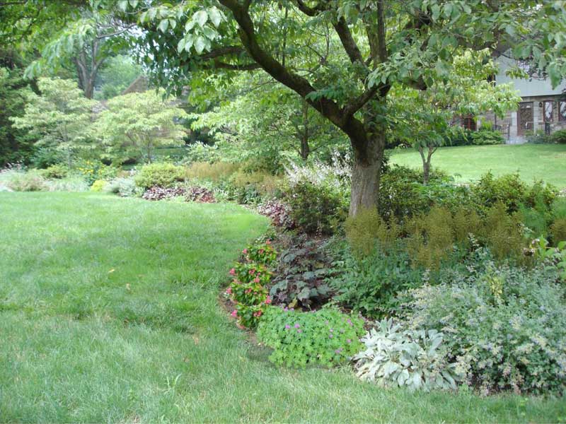 Landscaped mixed border in Paoli