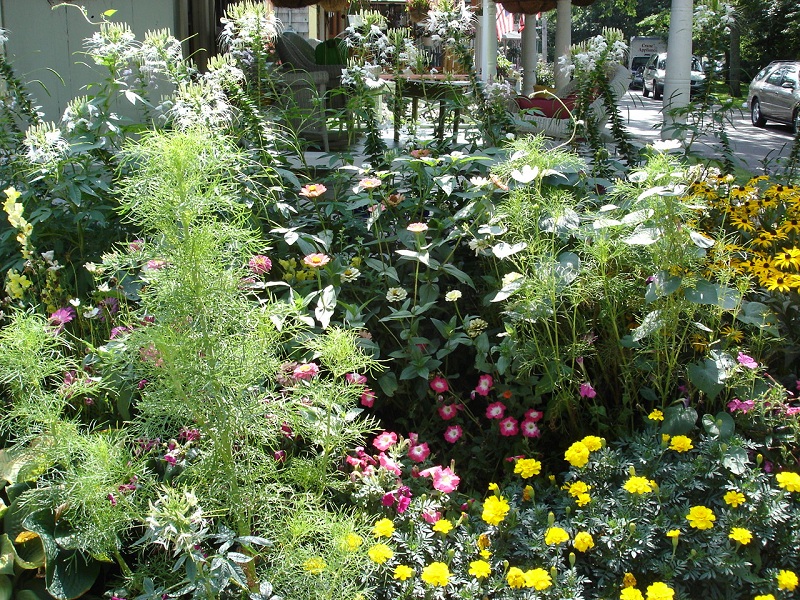 Floral display in Valley Forge