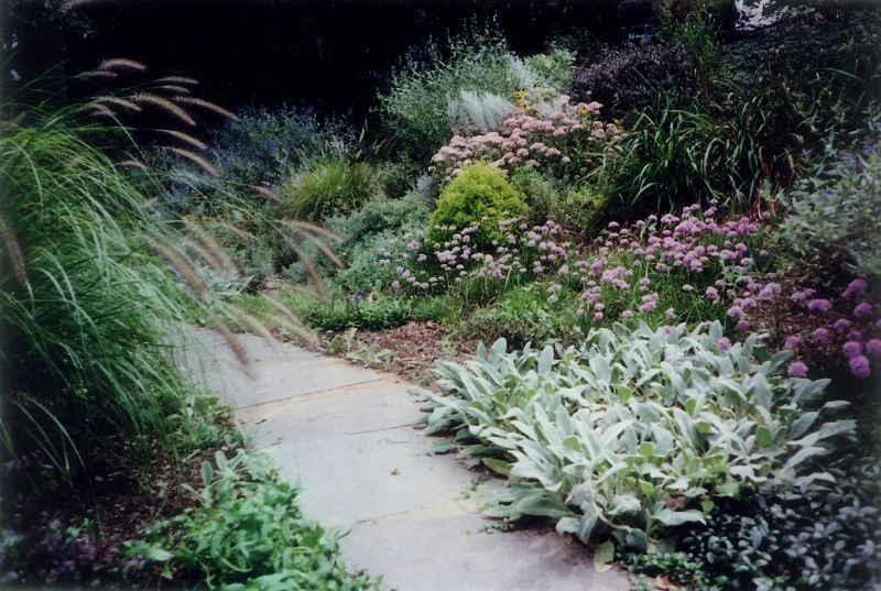 Landscaping Ideas - Ornamental Grasses and Perennial Garden in St. Davids