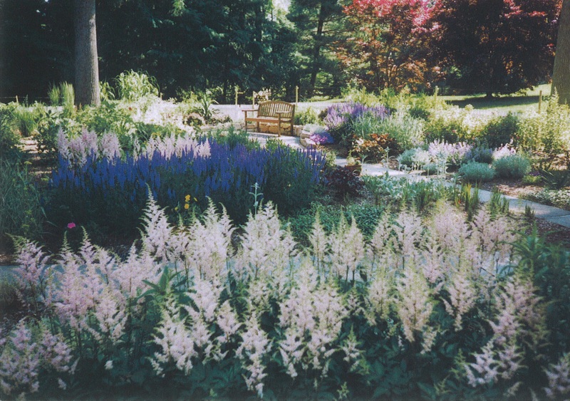 Landscaping Ideas - English Cutting Garden in Gladwyn