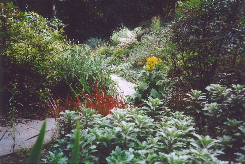 Landscaping Ideas - Hillside Planting with Flagstone Walk in Bryn Mawr