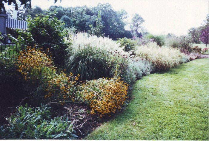 Backyard Designs - Screening for Privacy in Villanova - After