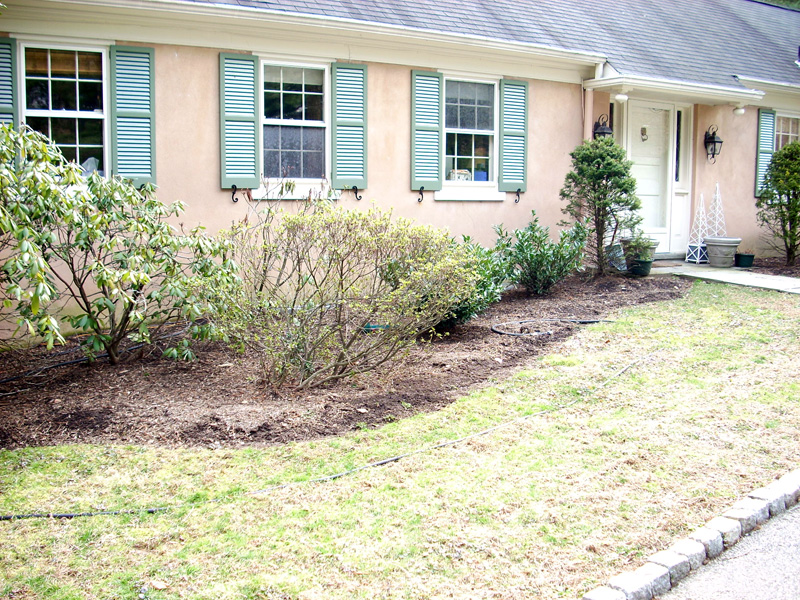 Landscaping Ideas - Williamsburg Style Garden in Bryn Mawr - Before